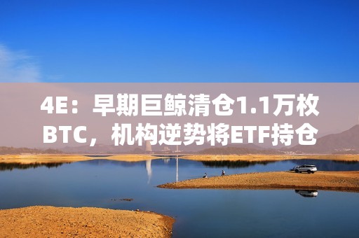 4E：早期巨鯨清倉1.1萬枚BTC，機構逆勢將ETF持倉抬至40%