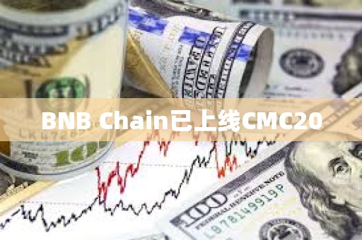 BNB Chain已上線CMC20
