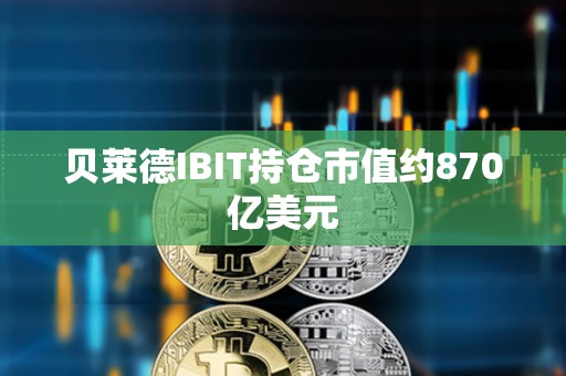 貝萊德IBIT持倉市值約870億美元