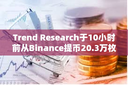 Trend Research于10小時(shí)前從Binance提幣20.3萬(wàn)枚ENS