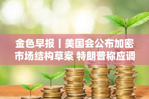金色早報丨美國會公布加密市場結(jié)構(gòu)草案 特朗普稱應(yīng)調(diào)查前總統(tǒng)奧巴馬