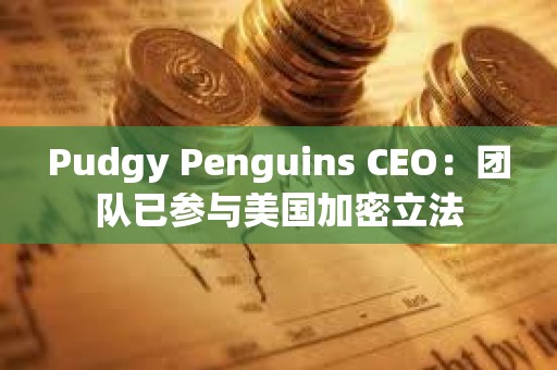 Pudgy Penguins CEO：團隊已參與美國加密立法