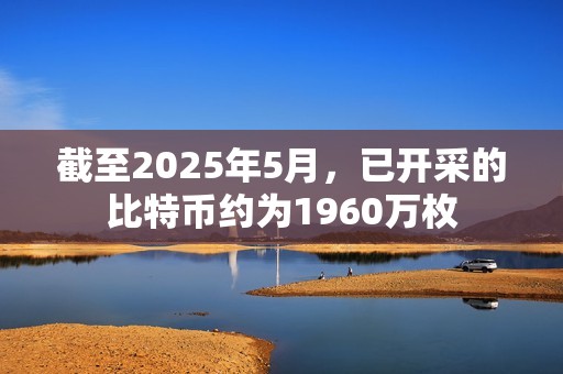 截至2025年5月，已開采的比特幣約為1960萬枚