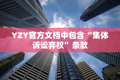 YZY官方文檔中包含“集體訴訟棄權(quán)”條款