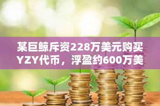 某巨鯨斥資228萬美元購買YZY代幣，浮盈約600萬美元