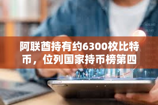 阿聯酋持有約6300枚比特幣，位列國家持幣榜第四