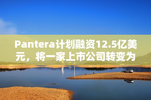 Pantera計劃融資12.5億美元，將一家上市公司轉變為一家Solana投資公司