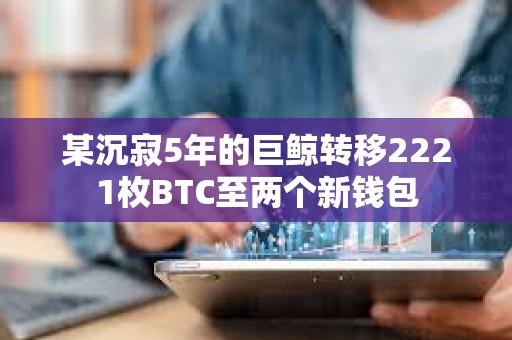 某沉寂5年的巨鯨轉移2221枚BTC至兩個新錢包