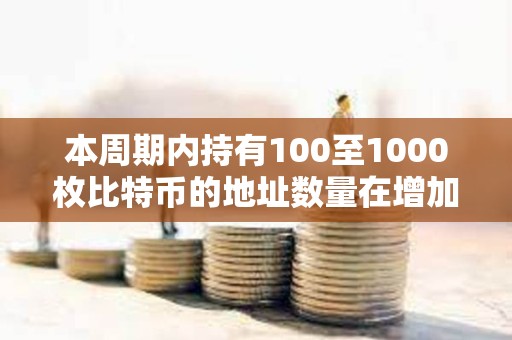 本周期內持有100至1000枚比特幣的地址數量在增加