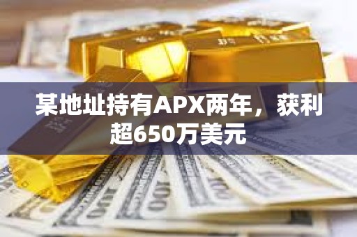 某地址持有APX兩年，獲利超650萬美元
