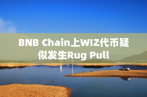 BNB Chain上WIZ代幣疑似發生Rug Pull
