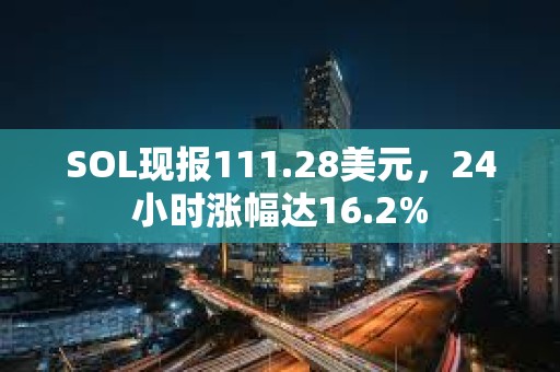 SOL現(xiàn)報111.28美元，24小時漲幅達16.2%