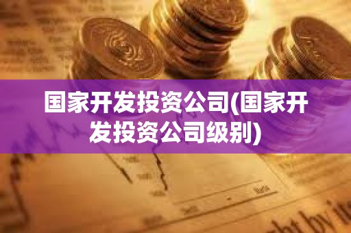 國家開發投資公司(國家開發投資公司級別)