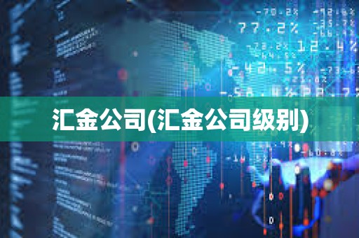 匯金公司(匯金公司級別)