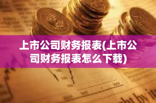 上市公司財務報表(上市公司財務報表怎么下載)