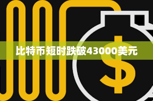 比特幣短時跌破43000美元