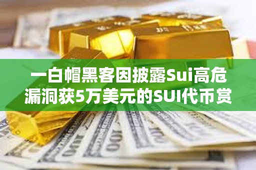 一白帽黑客因披露Sui高危漏洞獲5萬美元的SUI代幣賞金