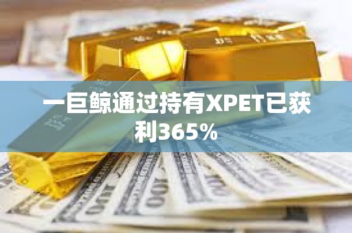 一巨鯨通過持有XPET已獲利365%