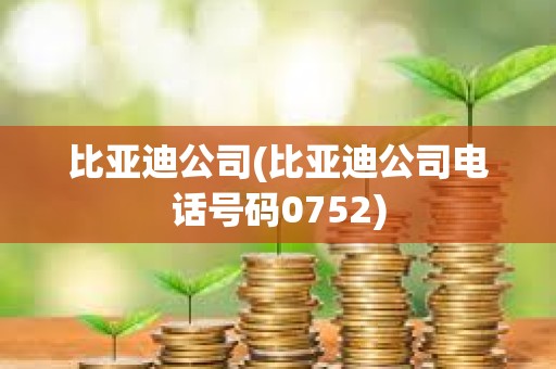 比亞迪公司(比亞迪公司電話號碼0752) 比亞迪公司(比亞迪公司電話號碼0752)