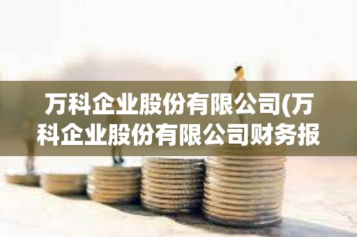 萬科企業(yè)股份有限公司(萬科企業(yè)股份有限公司財務(wù)報表分析)