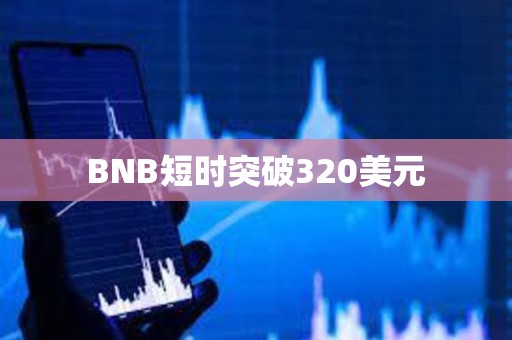 BNB短時突破320美元