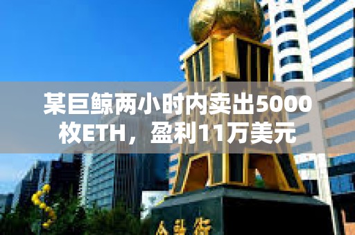 某巨鯨兩小時內(nèi)賣出5000枚ETH，盈利11萬美元