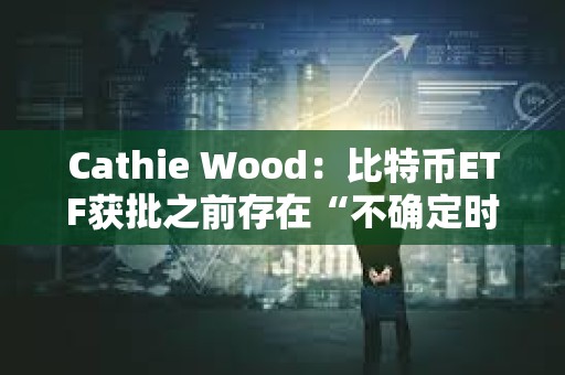 Cathie Wood：比特幣ETF獲批之前存在“不確定時刻”