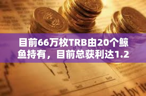 目前66萬枚TRB由20個鯨魚持有，目前總獲利達1.2億美元