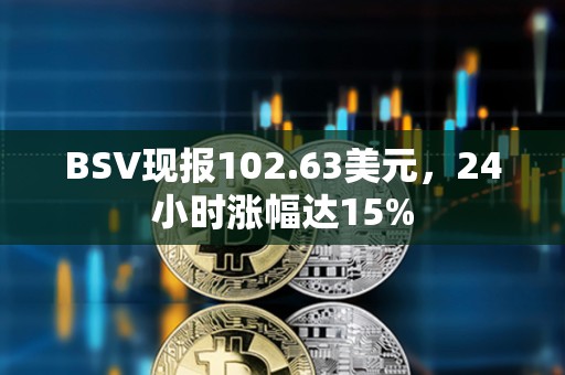 BSV現(xiàn)報(bào)102.63美元，24小時(shí)漲幅達(dá)15%