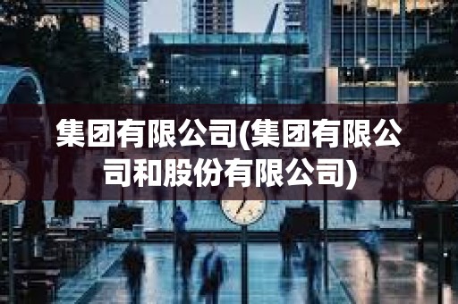集團(tuán)有限公司(集團(tuán)有限公司和股份有限公司)
