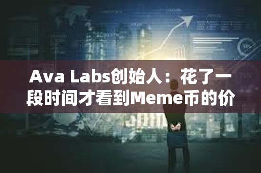 Ava Labs創始人：花了一段時間才看到Meme幣的價值
