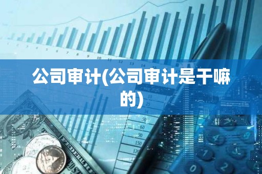 公司審計(公司審計是干嘛的)
