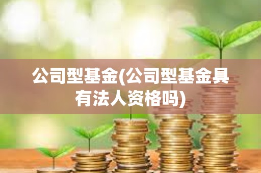 公司型基金(公司型基金具有法人資格嗎)