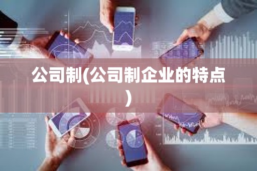 公司制(公司制企業的特點)