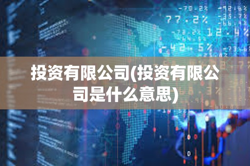 投資有限公司(投資有限公司是什么意思)