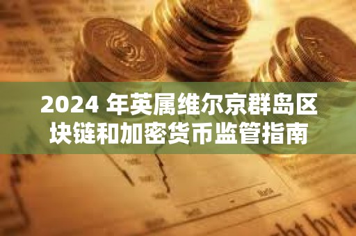 2024 年英屬維爾京群島區塊鏈和加密貨幣監管指南