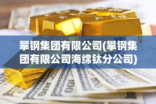 攀鋼集團有限公司(攀鋼集團有限公司海綿鈦分公司) 攀鋼集團有限公司(攀鋼集團有限公司海綿鈦分公司)
