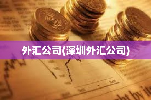 外匯公司(深圳外匯公司)
