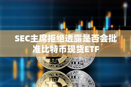 SEC主席拒絕透露是否會批準比特幣現(xiàn)貨ETF