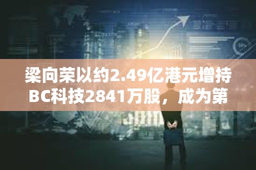 梁向榮以約2.49億港元增持BC科技2841萬股，成為第三大股東