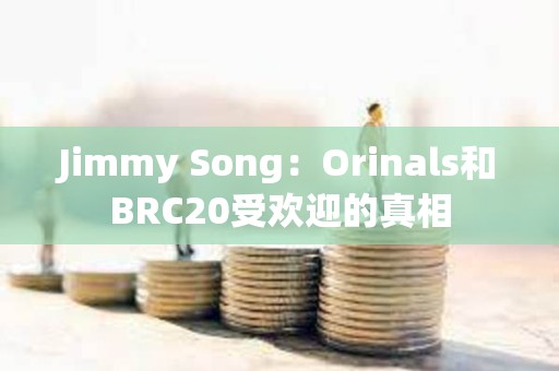 Jimmy Song：Orinals和BRC20受歡迎的真相