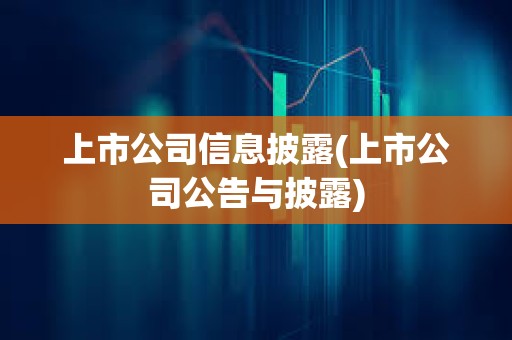 上市公司信息披露(上市公司公告與披露)