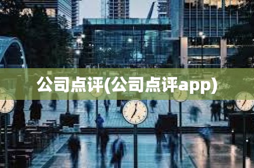公司點評(公司點評app)