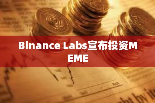 Binance Labs宣布投資MEME