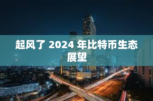 起風了 2024 年比特幣生態展望