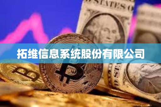拓維信息系統股份有限公司 拓維信息系統股份有限公司