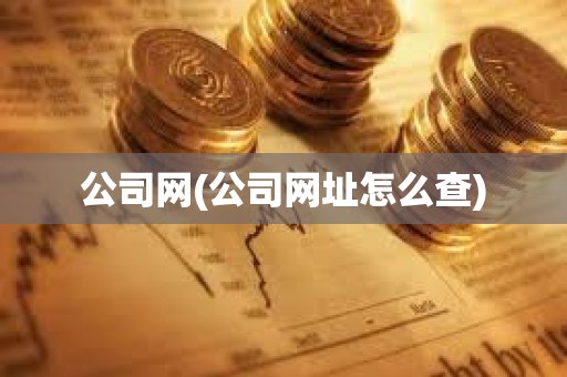 公司網(公司網址怎么查)