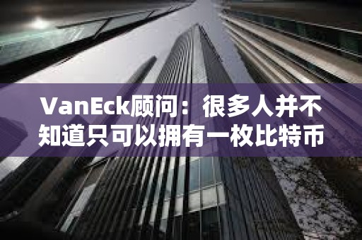 VanEck顧問：很多人并不知道只可以擁有一枚比特幣的一小部分