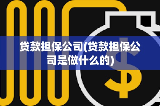 貸款擔保公司(貸款擔保公司是做什么的)