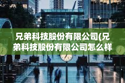 兄弟科技股份有限公司(兄弟科技股份有限公司怎么樣)@
